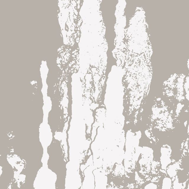 REES - Music For Stalagmites