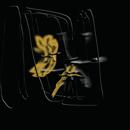 Laimonas - Fragile Signals EP