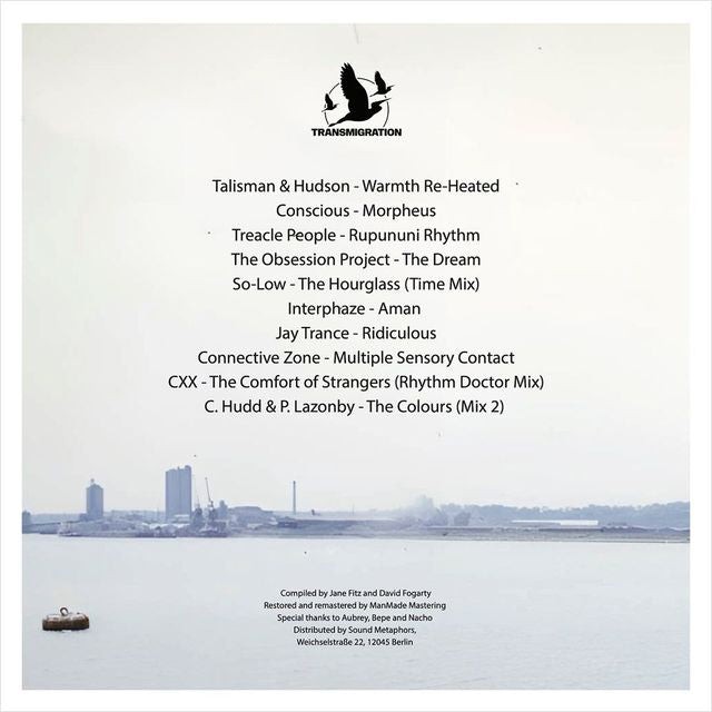 Jane Fitz, David Fogarty - Mysterious Vastness