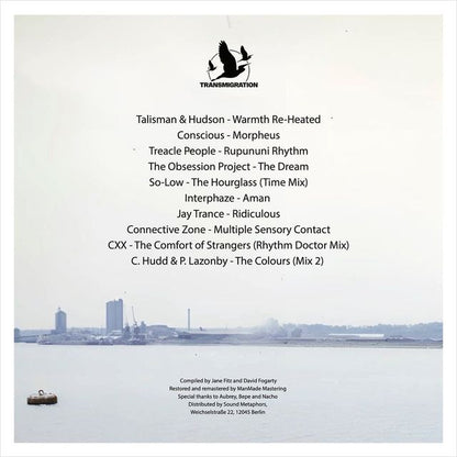 Jane Fitz, David Fogarty - Mysterious Vastness
