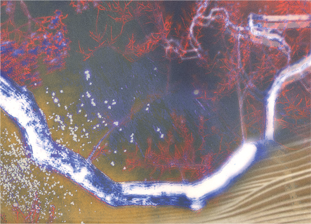 Aburelius -  Natura Selected Works I