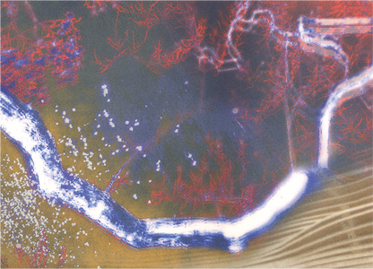 Aburelius -  Natura Selected Works I