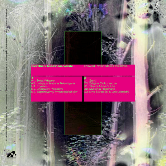 Kordian Nieznanowski - Thawed Psychedelic Rhizomes 2x12