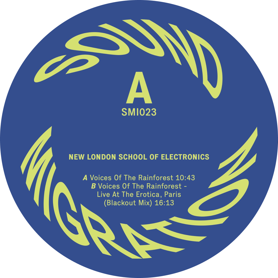 The New London School Of Electronics - Voices Of The Rainforest