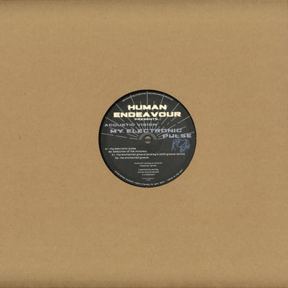 Acoustic Vision - My Electronic Pulse