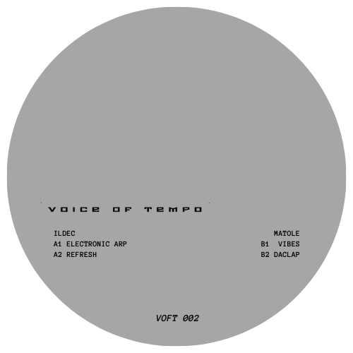 Ildec & Matole - Voice Of Tempo